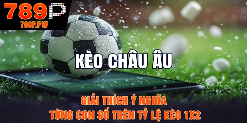 Giải thích ý nghĩa từng con số trên tỷ lệ kèo 1X2